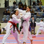 9th WKC World Championships for Seniors (7)